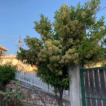 Xhimi קסאמיל