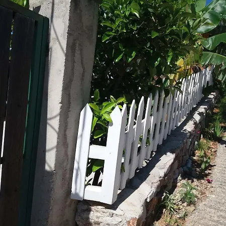 Xhimi קסאמיל