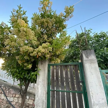 Xhimi