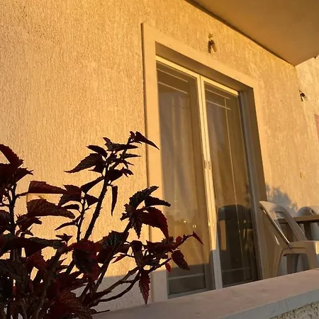 Xhimi Guest house *