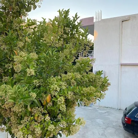 Xhimi Guest house *