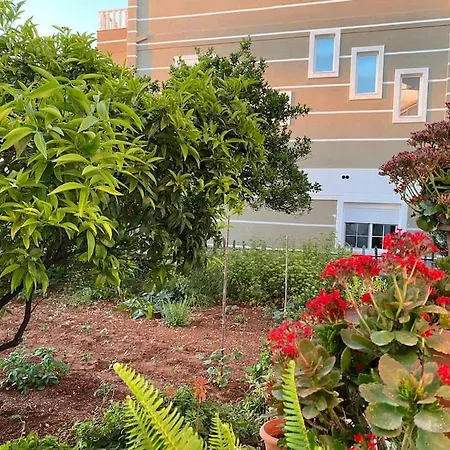 Guest house Xhimi